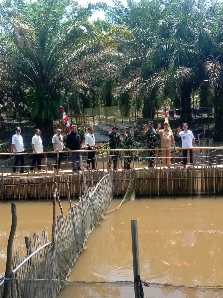 Bupati Lahat dan Kasdam II/Sriwijaya Lepas Benih Lele dalam TMMD Ke-128, Dukung Ketahanan Pangan Desa