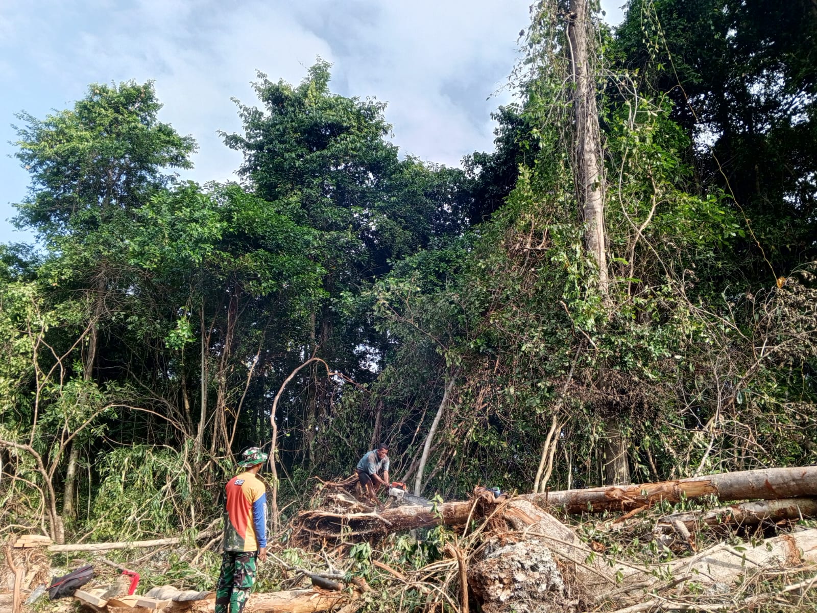 Pohon Tumbang Dimanfaatkan Satgas TMMD untuk Material Renovasi RTLH di Desa Pulau Dua